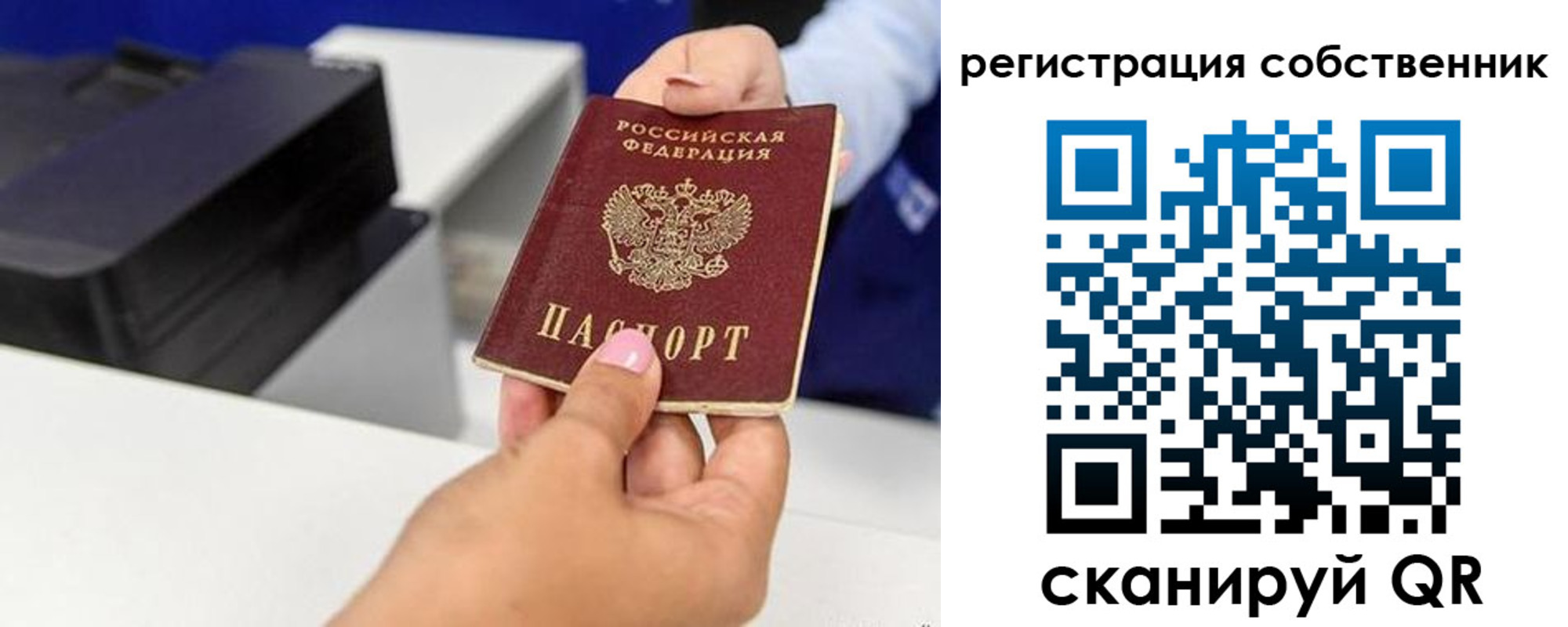 прописка для школы в Аргуне